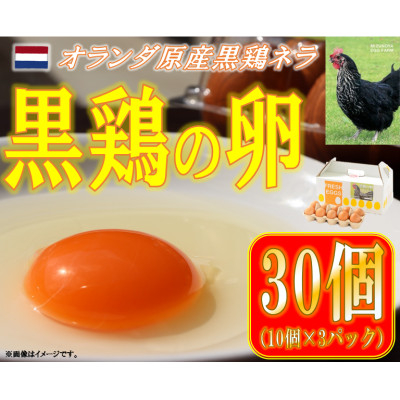 
            水野谷鶏卵店　黒鶏の卵　30個入り(Mサイズ)【1503067】
          