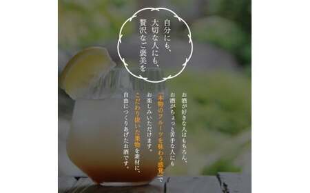 梅乃宿 あらごしシリーズ 飲み比べ 【４ヵ月定期便】毎月720ml×２本 ／ 定期便 梅乃宿酒造 お酒 リキュール ギフト 贈り物 プレゼント 人気 メーカー直送 みっく酒 ゆず みかん 梅酒 もも 