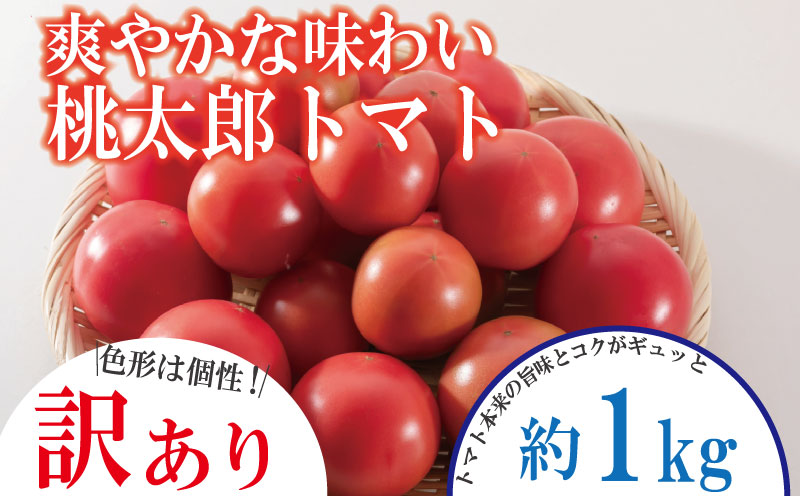 【訳あり】 【2026年4月発送】 トマト 1kg 桃太郎 先行予約  甘い 野菜 やさい 国産 産地直送 数量限定 旬 桃太郎トマト 生野菜 新鮮 ソース 調味料 ケチャップ サラダ 美容 新鮮 健康 お取り寄せ グルメ おすすめ 人気 徳島県 小松島市