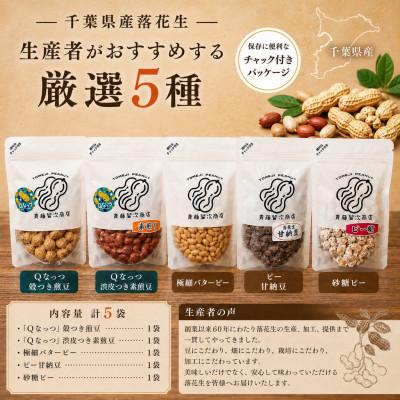 ふるさと納税 大網白里市 【大網白里市産】落花生5袋セット(Qナッツ入り)計500g