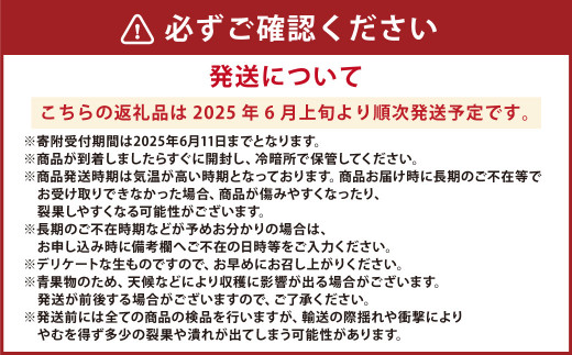 熊本県産 小玉すいか 1玉（1.5kg以上）と 肥後グリーンメロン 1玉（1.6kg以上） 果物 くだもの フルーツ スイカ メロン 【2025年6月上旬発送開始】