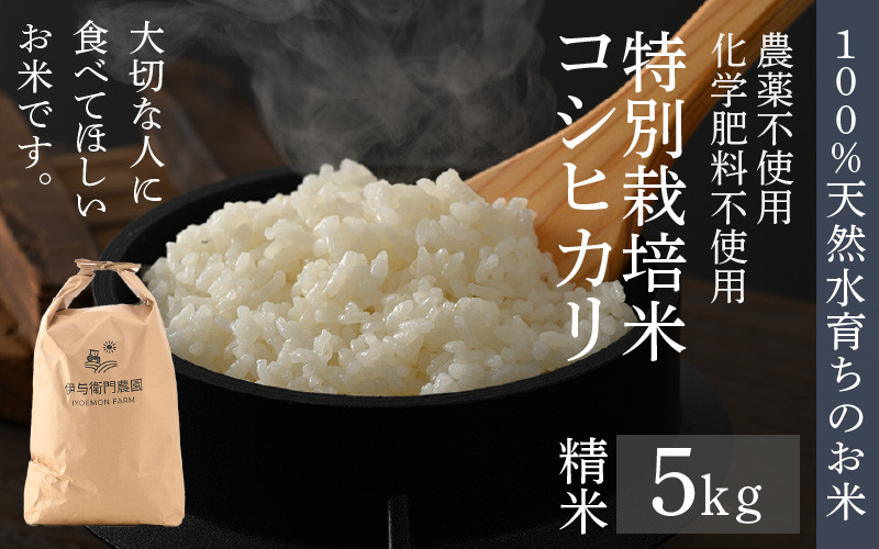 
            【先行予約】【令和8年産 新米】伊与衛門農園のコシヒカリ 精米 5kg 特別栽培米 化学肥料不使用  ＜温度と湿度を常時管理し新鮮米を出荷！＞／ 高品質 鮮度抜群 福井県あわら産 ブランド米 白米 お米 ※2026年9月下旬より順次発送予定 [aw071-a009]
          
