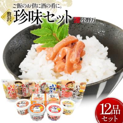 ふるさと納税 気仙沼市 塩辛・珍味 12品セット [小野万 20565730]