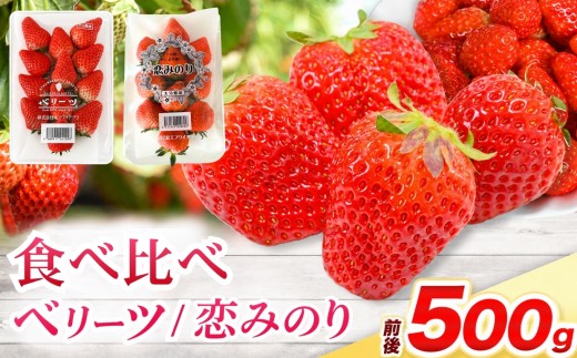ベリーツ ・ 恋みのり 食べ比べセット 各250g ( 約500g ) | 苺 イチゴ いちご ベリー フルーツ 果物 くだもの 大分県産 産地直送 大分県 中津市