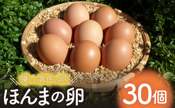 平飼いニワトリの有精卵！ほんまの卵 30個（10個×3パック） / たまご 玉子 / 佐賀県 / 本間農園 [41AJAA002]