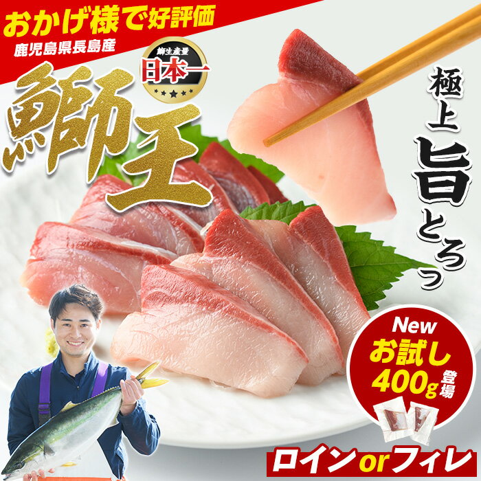 【ふるさと納税】＼1/3 09:59まで ご愛顧感謝寄附額実施中／ テレビで紹介ぶりの王様「 鰤王 」 選べる フィレ (半身) / ロイン (長方形切り身2節) / ポーション（お試し切り身） 冷蔵 真空パック ふるさと納税 ぶり 刺身 鰤 ぶりしゃぶ たたき 【JFA】_jfa-7f