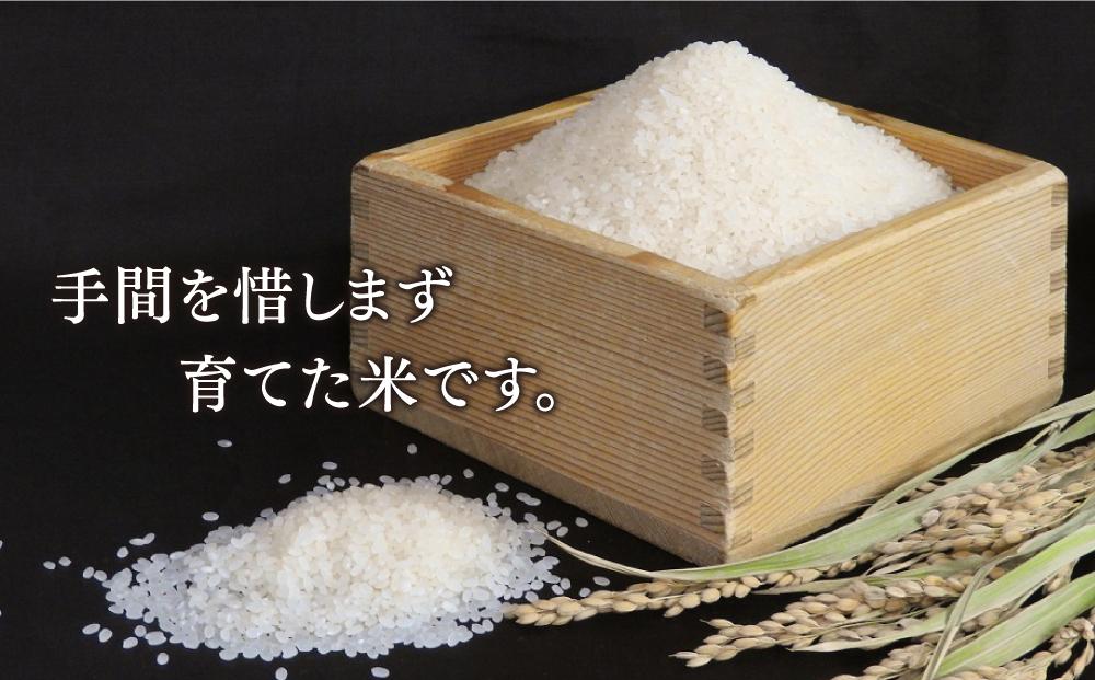 特別栽培米　ゆめぴりか　白米10kg 【 白米 精米 ご飯 ごはん 米 お米 北海道産 旬  特A 旭川市 北海道 送料無料 】_00438