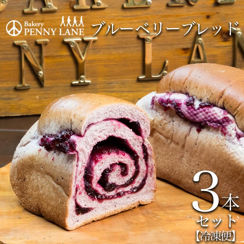 【ふるさと納税】ペニーレインのブルーベリーブレッド3本セット | 茨城県 つくば市 パン パン屋 茨城県 つくば市 ブルーベリー 冷凍パン お取り寄せ 人気 おすすめ ベーカリー グルメ プレゼント レストラン ドッグラン 冷凍 冷凍便