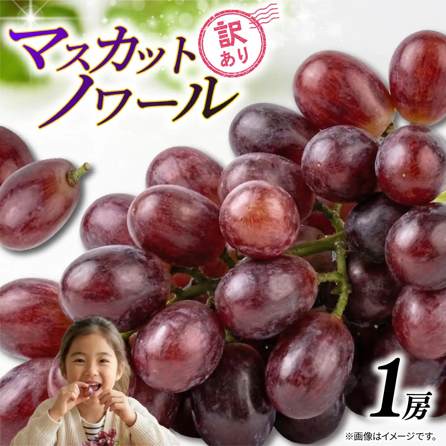 訳あり マスカットノワール  1房 450g 以上 数量限定 種なし