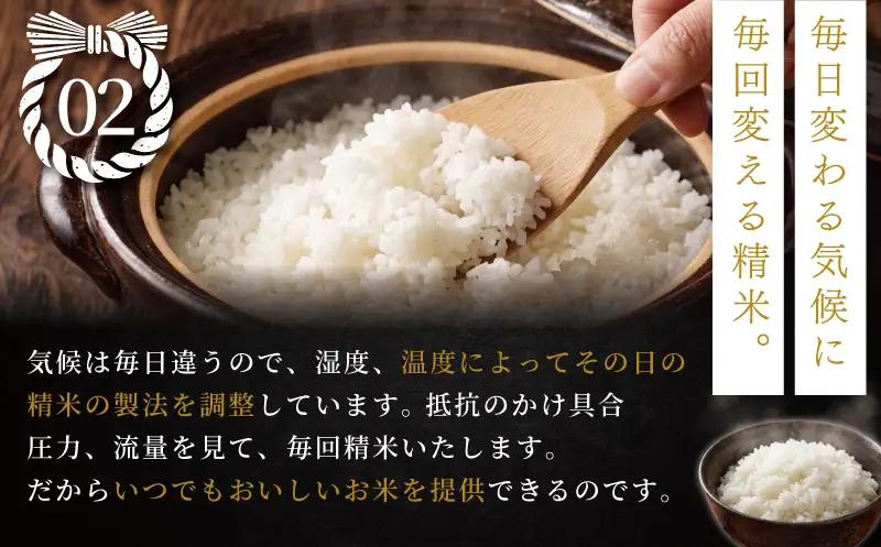 【新米予約 令和8年】 ミルキークイーン 5kg 【2026年9月以降発送】 米 お米 ブランド米 精米