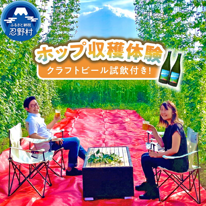 【ふるさと納税】 【2025年先行予約】 ホップ収穫 ホップ クラフトビール試飲 ビール 収穫 体験 忍野村産 送料無料 山梨県 忍野村