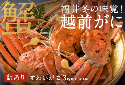 【産地直送】先行予約！福井の冬の王様！【訳あり】越前がに 合計3kg以上（3〜6杯）5〜7人前　2024年11月15日以降発送