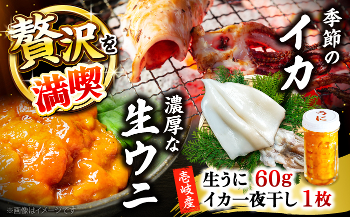
            季節のイカ一夜干し1枚＋生ウニ60g 《壱岐市》【合同会社塚元】 [JDR026]
          