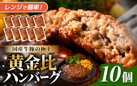 デミグラスハンバーグ 10個入り 簡単調理 ハンバーグ [A-0587]