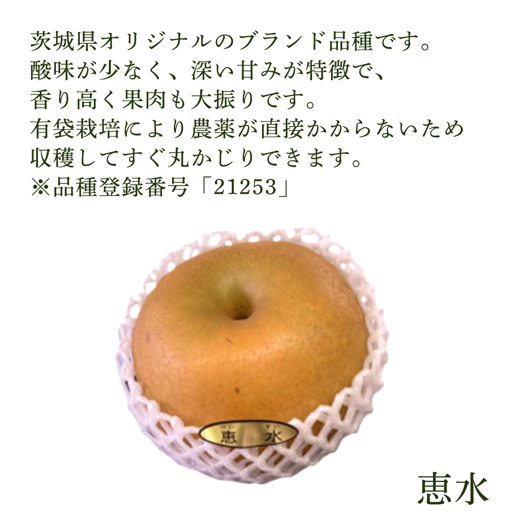 ＜農家直送＞梨 茨城県オリジナルブランド品種 恵水 大玉