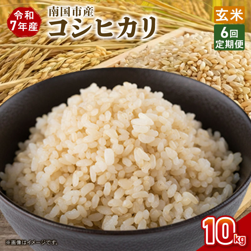 【ふるさと納税】 定期便 6ヶ月 令和7年度 南国市産 コシヒカリ 玄米 10kg 新米 期間限定 数量限定 米 コメ お米 ご飯 おにぎり こめ 弁当 高知県 南国市