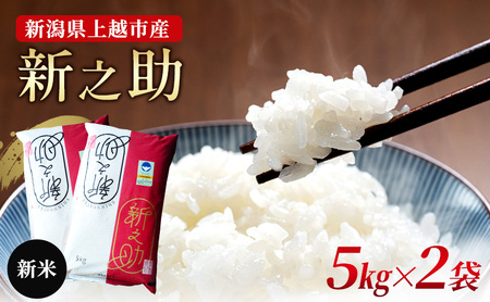 米 特別栽培米 新之助 10kg (5kg×2袋) 令和7年産 お米 新米 白米 精米 新潟県産