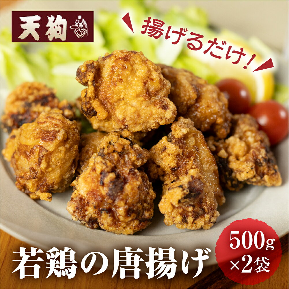 【ふるさと納税】若鶏の唐揚げ用（揚げるだけ）500g（約2〜3人前）×2袋 （1kg）【冷凍】鶏肉 からあげ から揚げ 味付き 天狗 10000円 岐阜県 下呂市