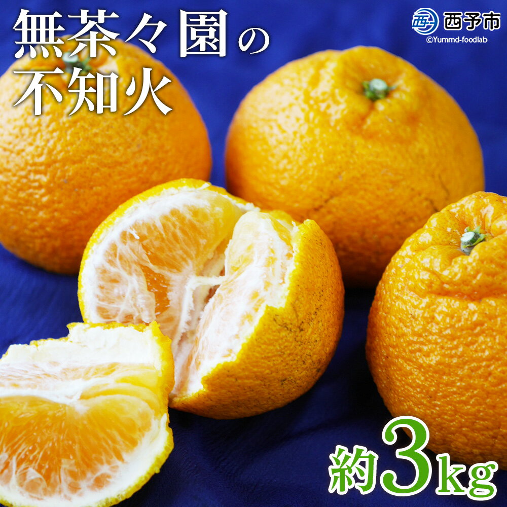 【ふるさと納税】先行予約 ＜無茶々園の不知火 約3kg＞ フルーツ 果物 くだもの デコポン しらぬい しらぬひ 柑橘 みかん ミカン 蜜柑 オレンジ 柑橘 甘い 旬 期間限定 季節限定 特産品 愛媛県 西予市【常温】『2026年2月下旬～3月中旬迄に順次出荷予定』