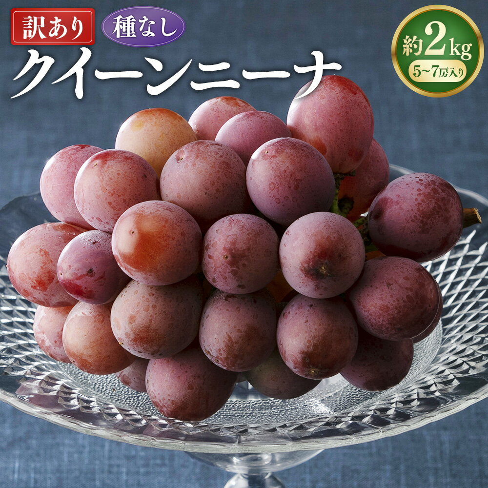 【ふるさと納税】《訳あり》《種なし》岡山県産 クイーンニーナ 約2kg 5～7房 ぶどう ブドウ 葡萄 くだもの 果物 果実 フルーツ 冷蔵 国産 岡山県 美咲町 送料無料 【2026年8月下旬-9月下旬発送予定】
