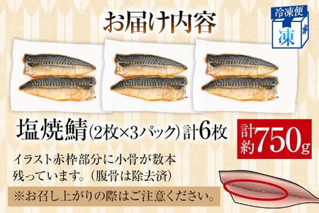 鯖 お試し さば 塩サバ 塩焼鯖6枚 大ぶり 調理済 レンチン 温めるだけ 脂のり 惣菜 晩御飯 おかず ジューシー 冷凍 お弁当 レンジ調理 サバ 自社製造 朝ごはん 和食 簡単調理 アレンジ 塩焼