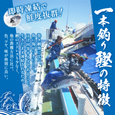 脂ののった戻り鰹＆活き〆かつお(枕崎ぶえん鰹) 合計1Kg タレ付 A3−133【配送不可地域：離島】【1166319】