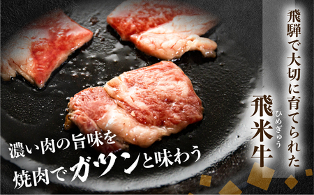 飛米牛 ロース 焼き肉用 300g×2 [EN041] 焼き肉