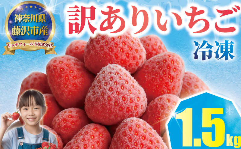 冷凍いちご 1.5kg 先行予約 へた除去済み 苺 いちご イチゴ ストロベリー 訳あり 訳有り 訳アリ 品種 おまかせ 大小 不揃い 果物 くだもの 冷凍 フルーツ 甘い デザート スムージー アレンジ ヨーグルト おいしい 新鮮 風味 香り 訳あり品 人気 リッチフィールド株式会社 神奈川 湘南 藤沢