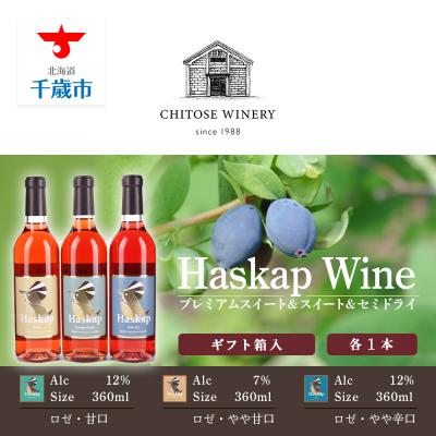 ふるさと納税 千歳市 千歳ワイナリー ハスカップのワイン3種360ml×各1本＜ギフト箱入＞