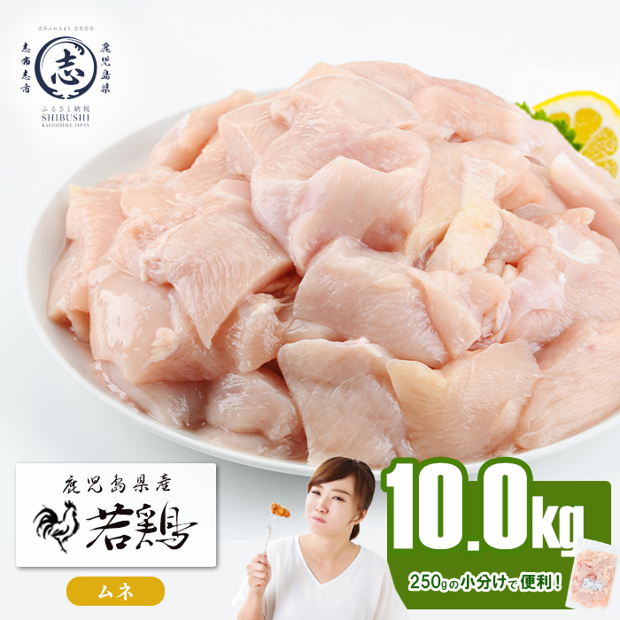 小分けで便利！鹿児島県産若鶏ムネ切身 計10kg(250g×40P) 鶏肉 とり肉 鳥肉 鶏ムネ肉 若鶏 小分け 真空 真空パック 保存 カット カット済 唐揚げ 煮物 鍋 おかず お弁当 b6-029