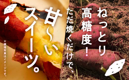 さつまいも 野菜 おやつ【農薬・化学肥料不使用】ねっとり甘〜い おいもさん（紅はるか） ５kg