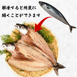 一汐さば  4尾 さば さば さば さば さば エドノフーズ