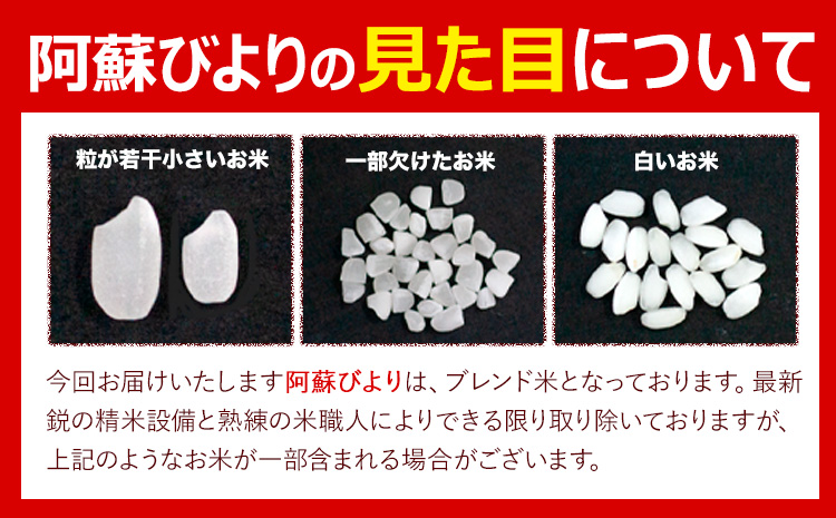 【隔月6回定期便】阿蘇びより 白米 10kg (5kg×2袋)《お申込み翌月から出荷》 ｜国産米 人気米 熊本県産米 お米---mna_abytei_10kg_99200_ev2mo6_h---