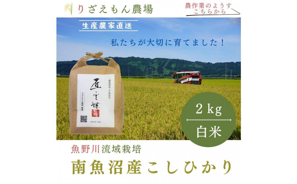 
            《新米》白米2kg　令和６年産　南魚沼産　コシヒカリ　こしひかり　魚野川流域　匠 雲蝶(たくみ　うんちょう）＼生産農家直送／
          