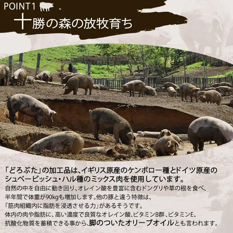どろぶた ミートボール 10個入×2 ブランド放牧豚 ミートボール