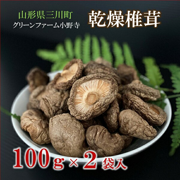 【ふるさと納税】グリーンファーム小野寺の乾燥椎茸　100g×2袋（グリーンファーム小野寺）