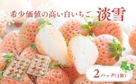 【先行予約】白いちご淡雪・2パック入×1箱