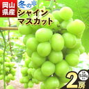 【ふるさと納税】　岡山県産　冷蔵シャインマスカット（1房530g以上2房入り）令和6年度産先行受付【配送不可地域あり】