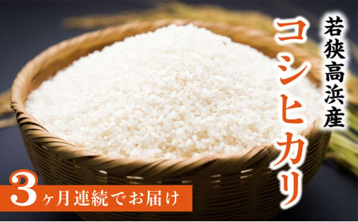 【令和6年産 新米】【3ヶ月定期便】若狭高浜産 コシヒカリ 精米 10kg × 3回 計30kg エコファーマー認定農家栽培 