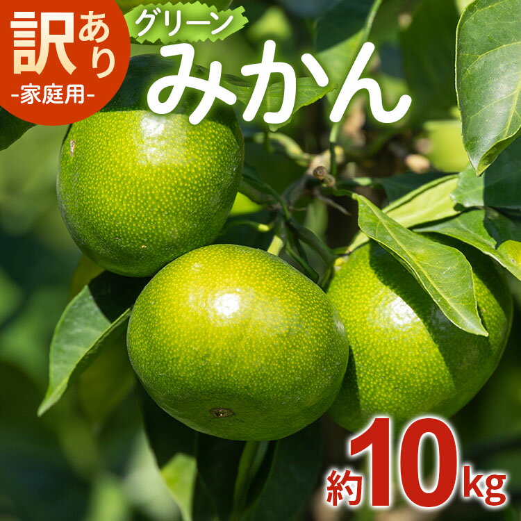 【ふるさと納税】家庭用 訳あり グリーンみかん 約10kg -送料無料 フルーツ 果物 ミカン 柑橘 ご自宅用 旬 季節 かなや農園 合同会社Benifare 国産 特産品 高知県 香南市【常温】