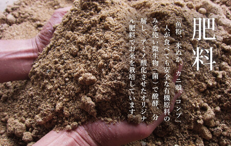【令和6年産】プロフェッショナル出演 関智晴がつくる最高級 無農薬栽培米10kg(5kg×2袋)南魚沼産コシヒカリ