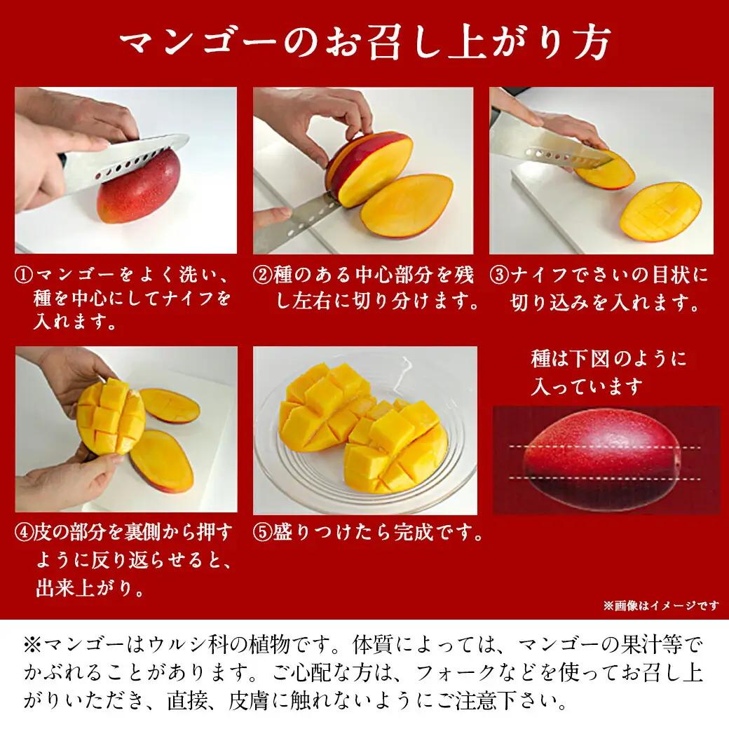 【先行受付!】宮崎県産完熟マンゴー(A等級) 【3L以上×2玉】化粧箱入り≪2026年5月中旬以降順次お届け≫〔AE-0112〕