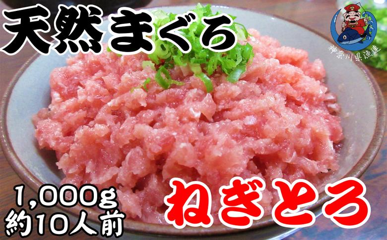 B11-012 神奈川県漁連　天然マグロ　ネギトロ　1?（500ｇ×2P）　お徳用