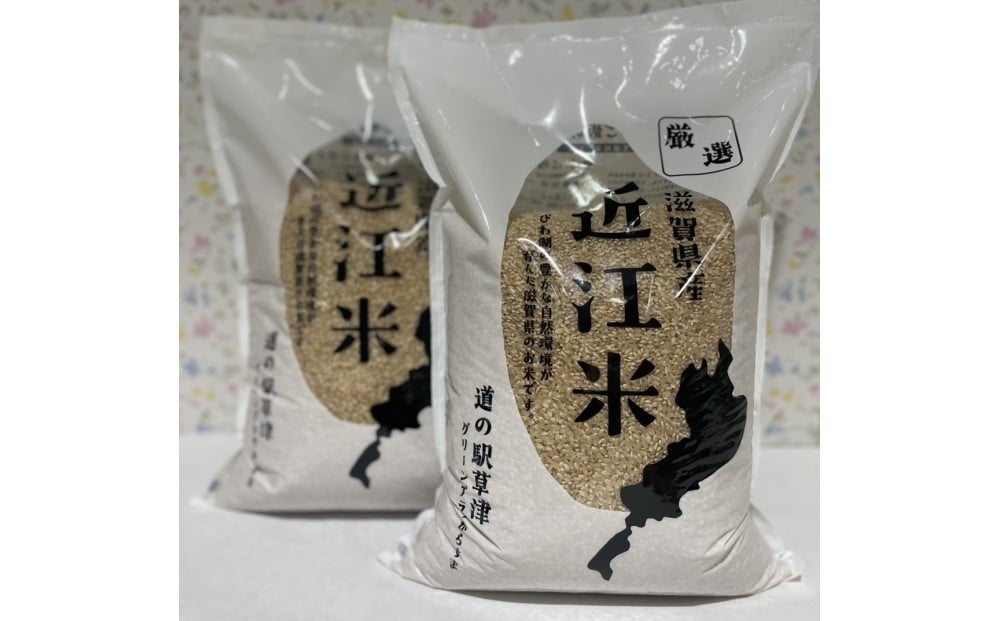 
            令和7年産　近江米コシヒカリ（白米・玄米）5kg×2　計10kg
          