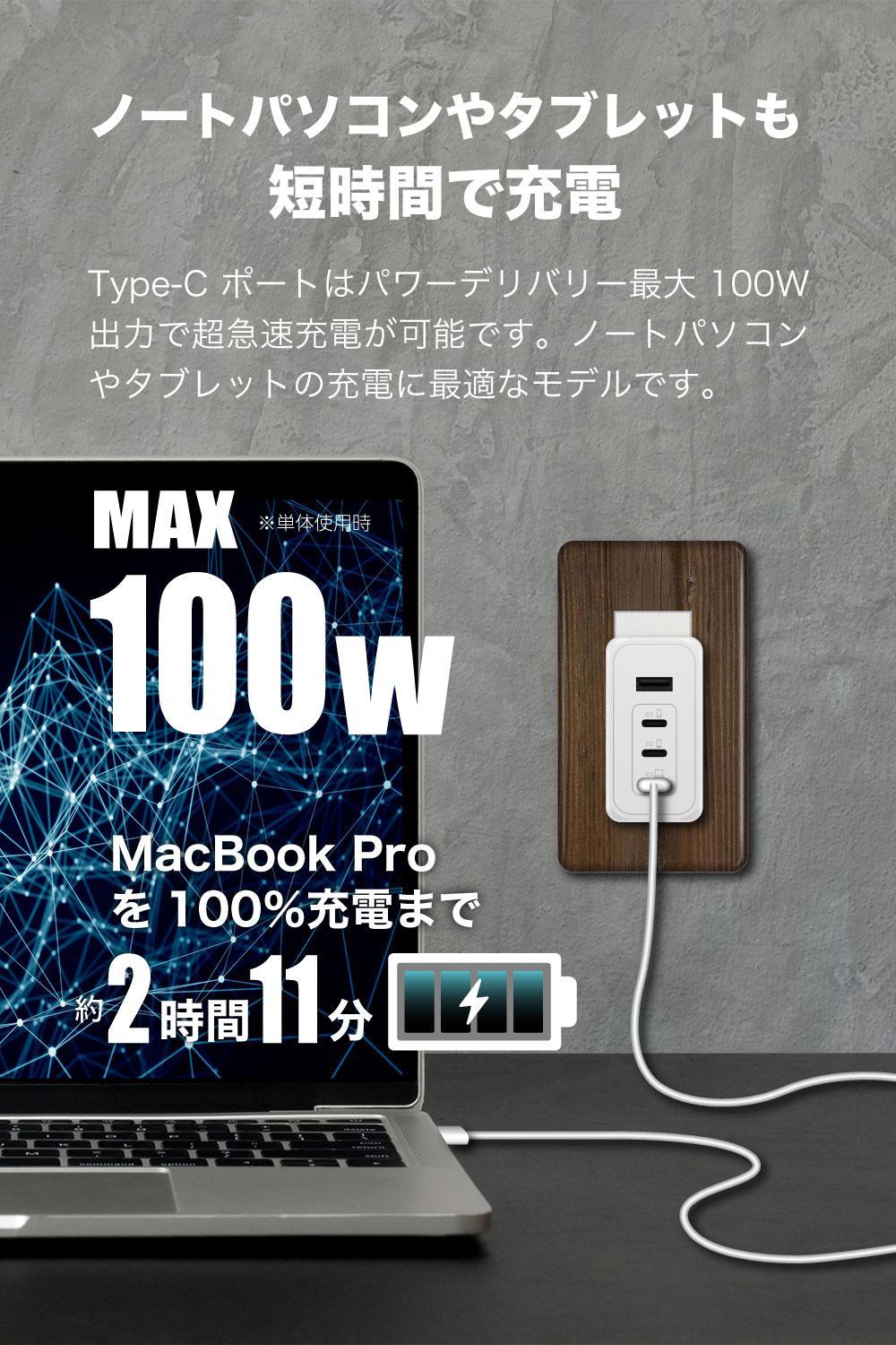 PD100W急速充電対応 USB充電器PR-AP160 【ブラック】