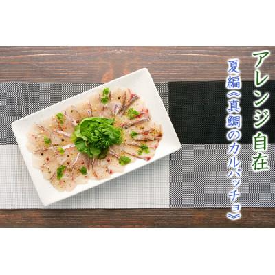 ふるさと納税 沼津市 鯛の刺身 (250g×1パック) |  | 02