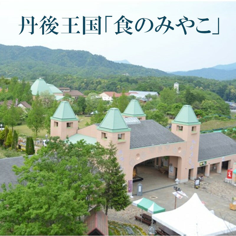 【ふるさと納税】道の駅　丹後王国「食のみやこ」応援感謝券（500円券×6枚） 感謝券 クーポン券 アトラクション 体験 レストラン 食事 宿泊 ドッグラン 京丹後市