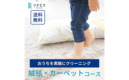 クリーニング 絨毯 ラグ カーペット 宅配 防ダニ クリーニング