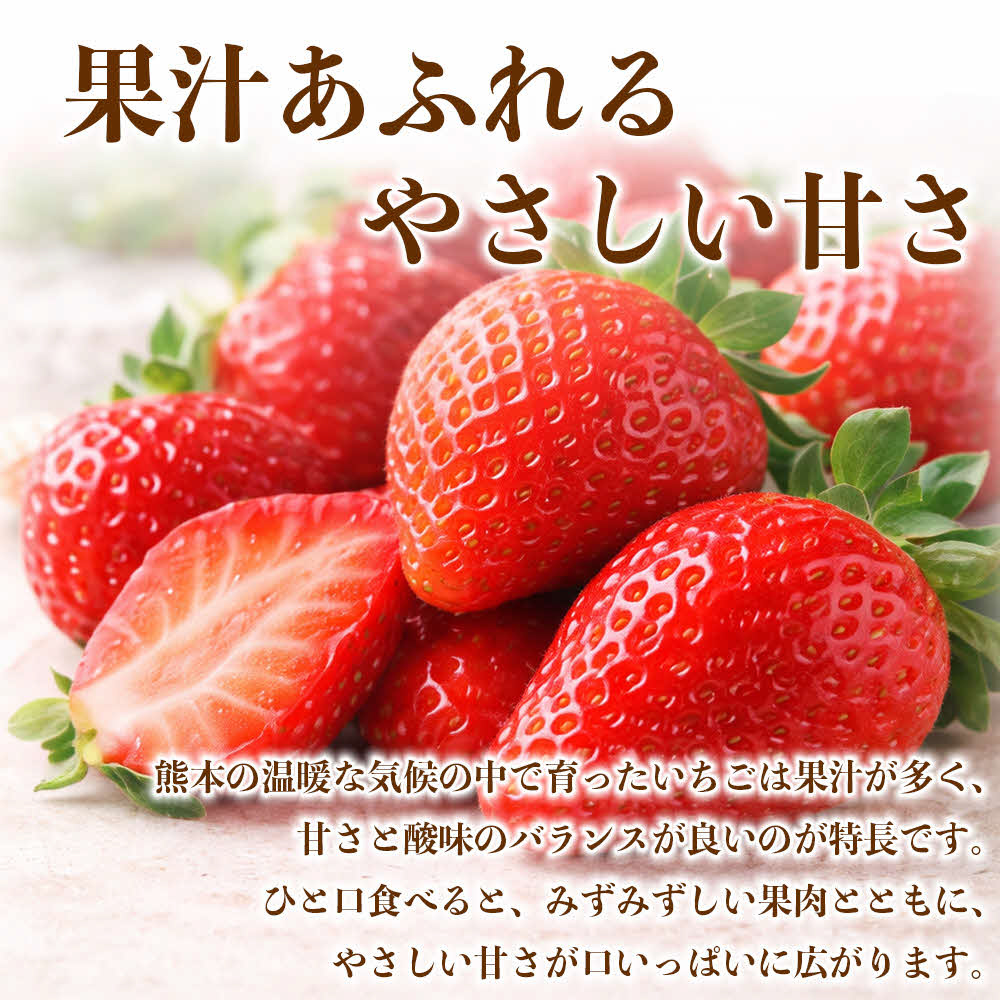 【先行予約】 いちご 約1kg（約250g×4パック） イチゴ 苺 果物 くだもの フルーツ 旬 ジャム スムージー スイーツ 熊本県 八代市 【2027年1月上旬より順次発送】