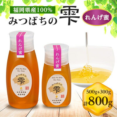 【ふるさと納税】【5月～6月発送】みつばちの雫　国産れんげ蜜　500g+300g【1496815】